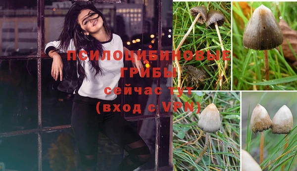 скорость Алексеевка