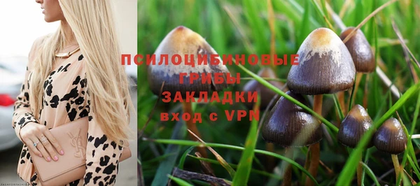 таблы Алзамай